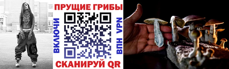 Купить закладки  Дивногорск  Галлюциногенные грибы ЛСД 